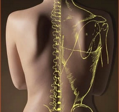 osteopatia-osteopata-dolore-infiammazione-schiena